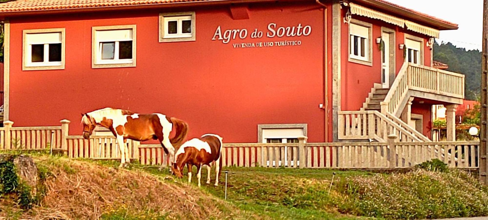 Agro Do Souto, Noia - Villa Completa Exteriér fotografie